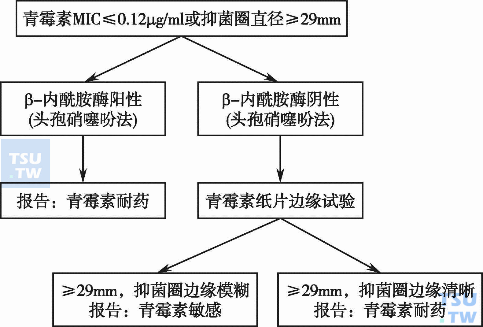 药敏试验怎么做