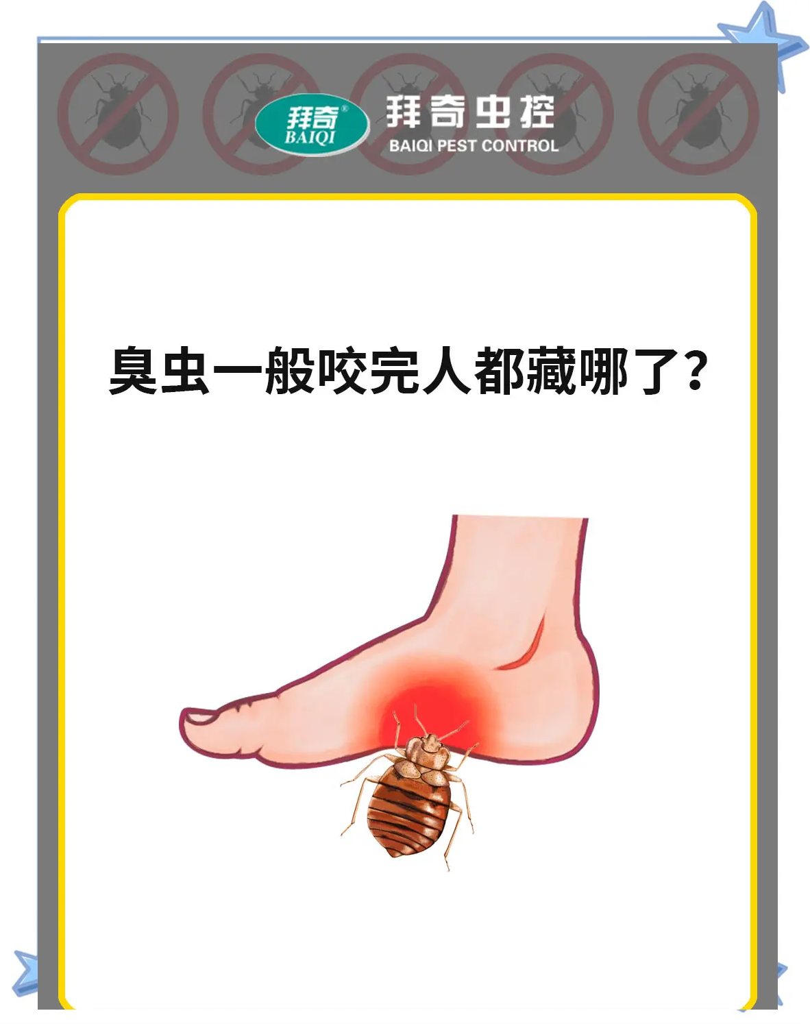 3种方法来杀死臭虫