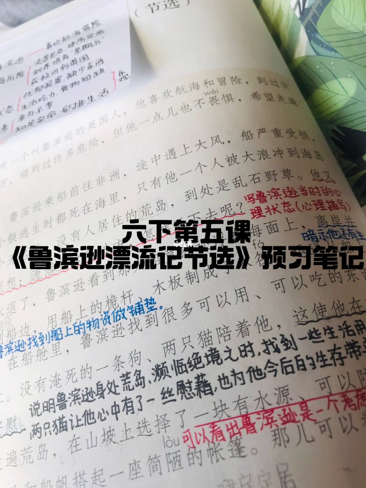 小学六年级下册《鲁滨逊漂流记》预习