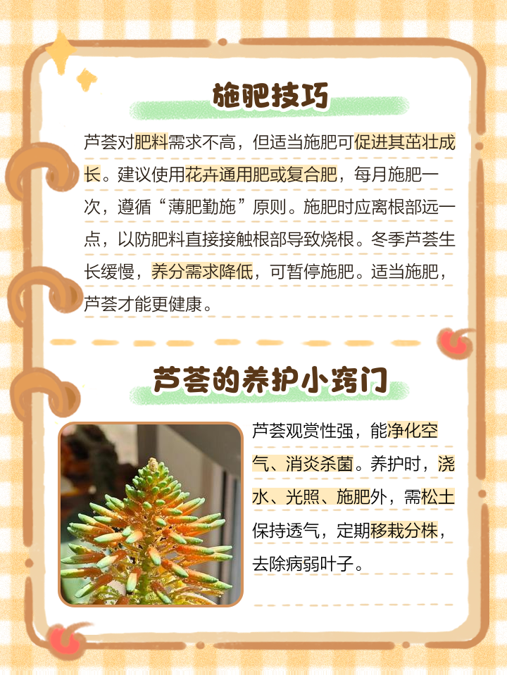 翠叶芦荟的养殖方法和作用有什么
