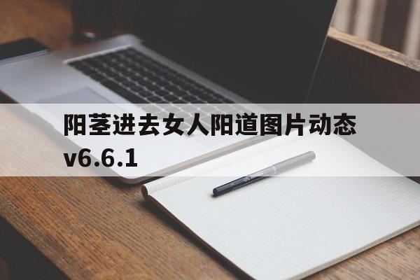 阳茎进去女人阳道图片动态v6.6.1